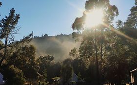 Glamping At Zeehan Bush Camp