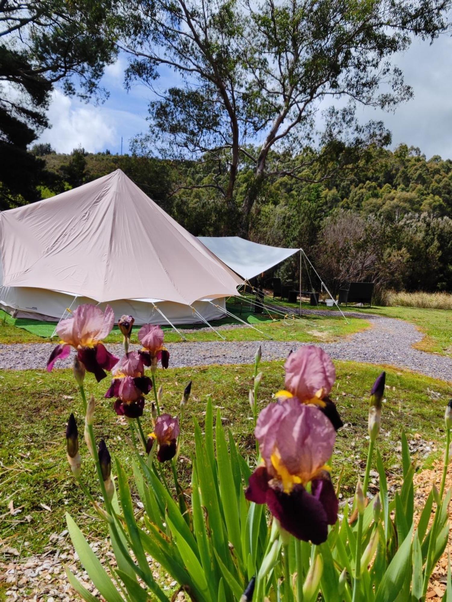 Glamping At Zeehan Bush Camp Exterior photo